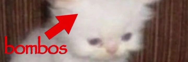1pk0s's profile banner image