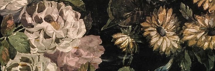jjanystra's profile banner image