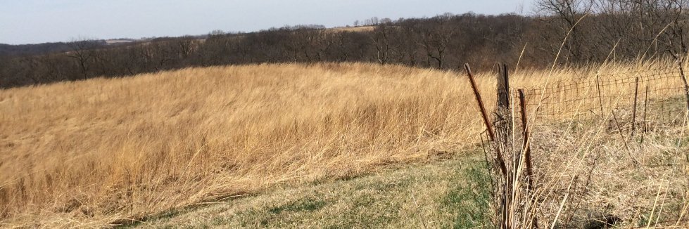 LauraBrumley's profile banner image