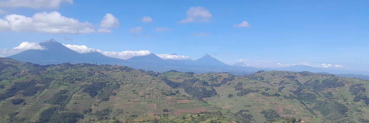 Allaniha's profile banner image