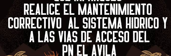 sunepinparques2 banner