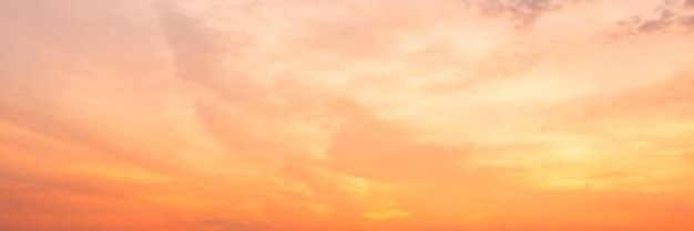 hicitter's profile banner image