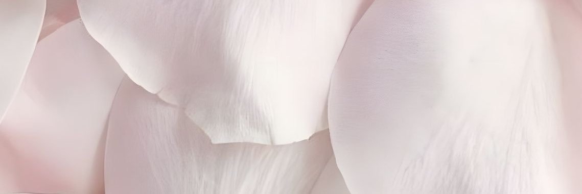 melancolind's profile banner image