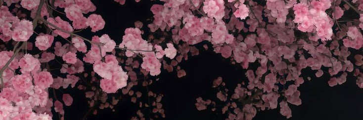lenymria's profile banner image