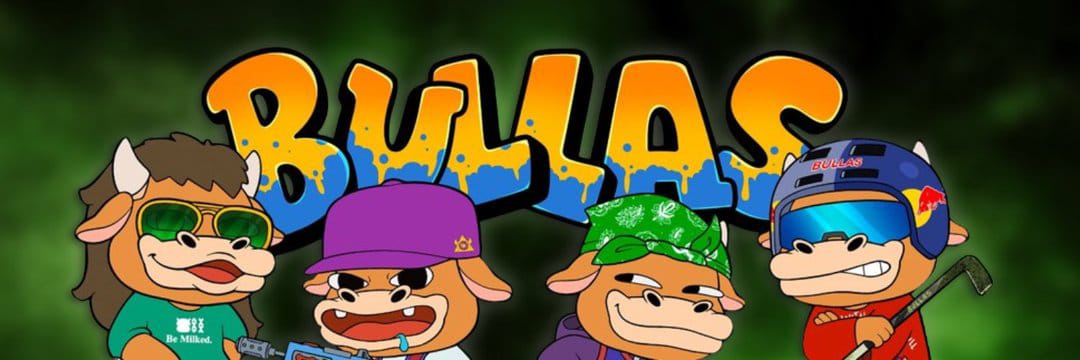 TheBullasol's profile banner image