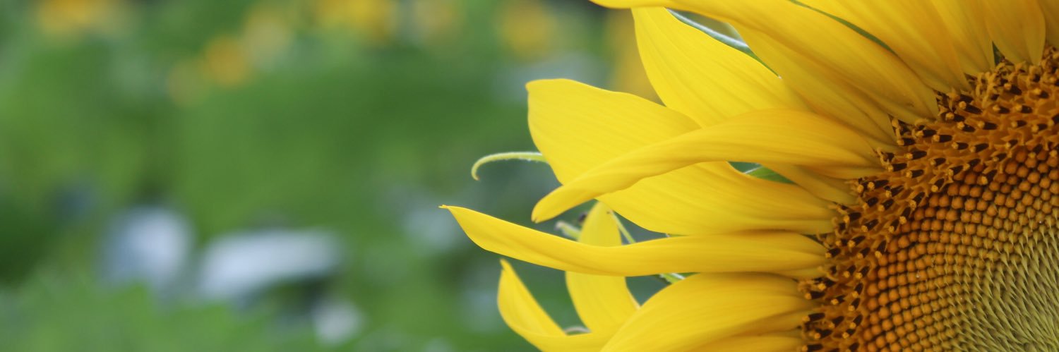 AmberrrDanielle's profile banner image