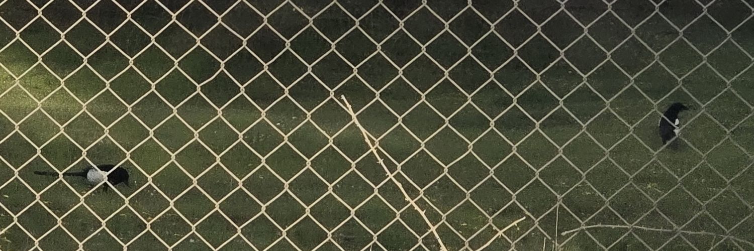Rojaaa_86's profile banner image