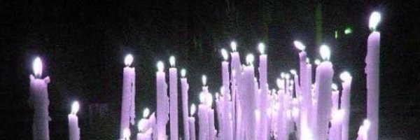 freakinMoth Profile Banner