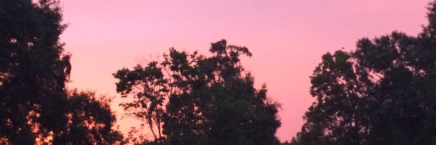andkalyn's profile banner image