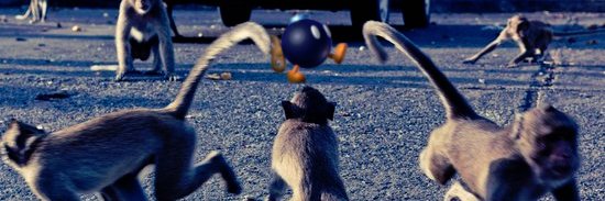 BusterPublic's profile banner image