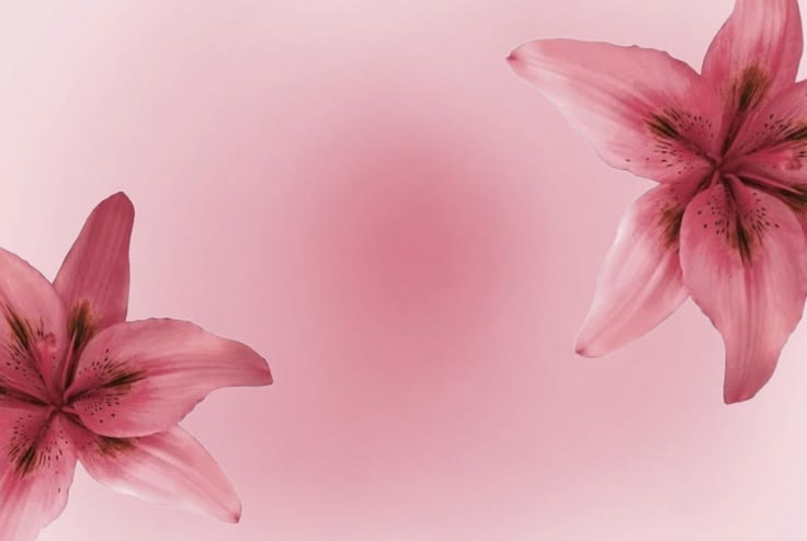 itsyourpinkyy's profile banner image