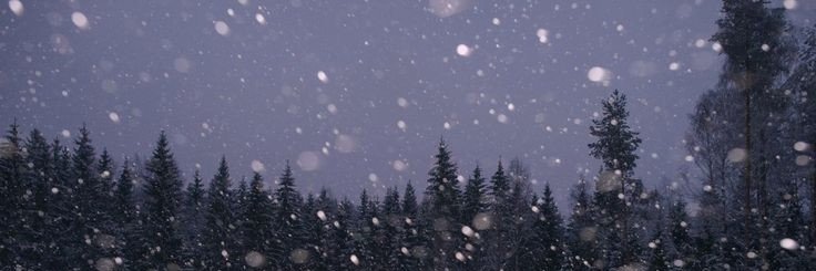 icetranced's profile banner image