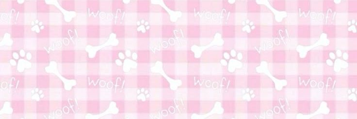 N04_Xzz's profile banner image