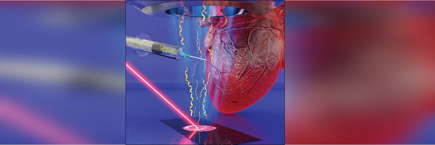 Cassandra L. Clift, PhD banner