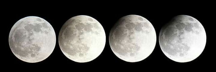 Genito Sweet🦄. banner