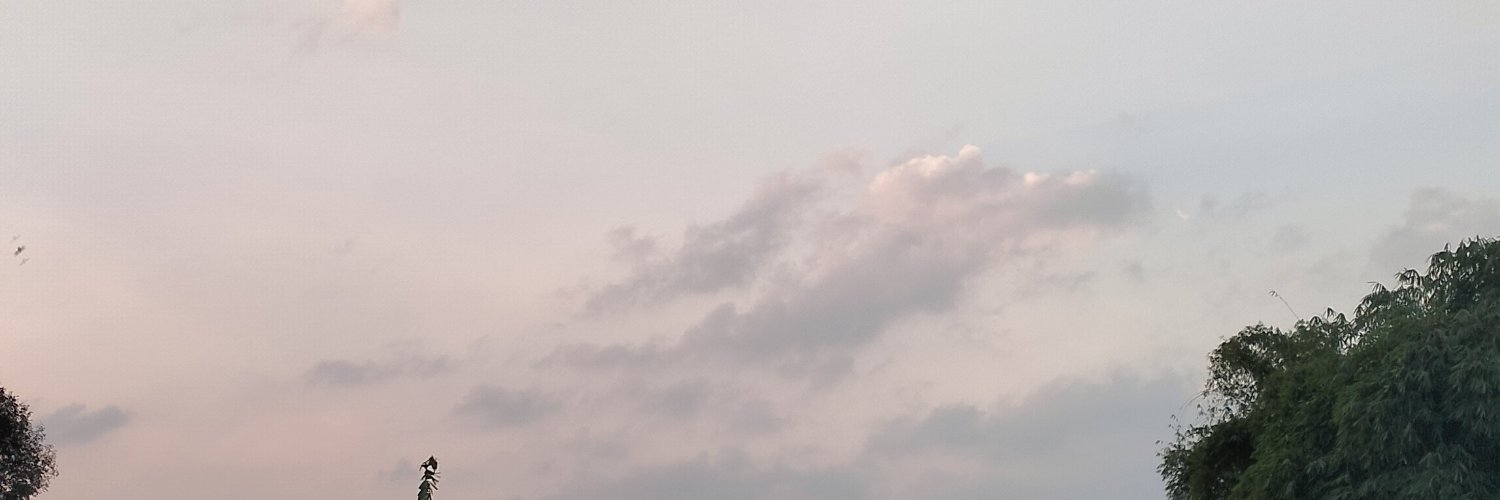 Saloonpast's profile banner image