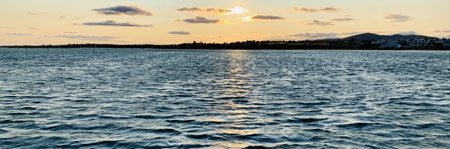 Alexandra Ribeiro banner