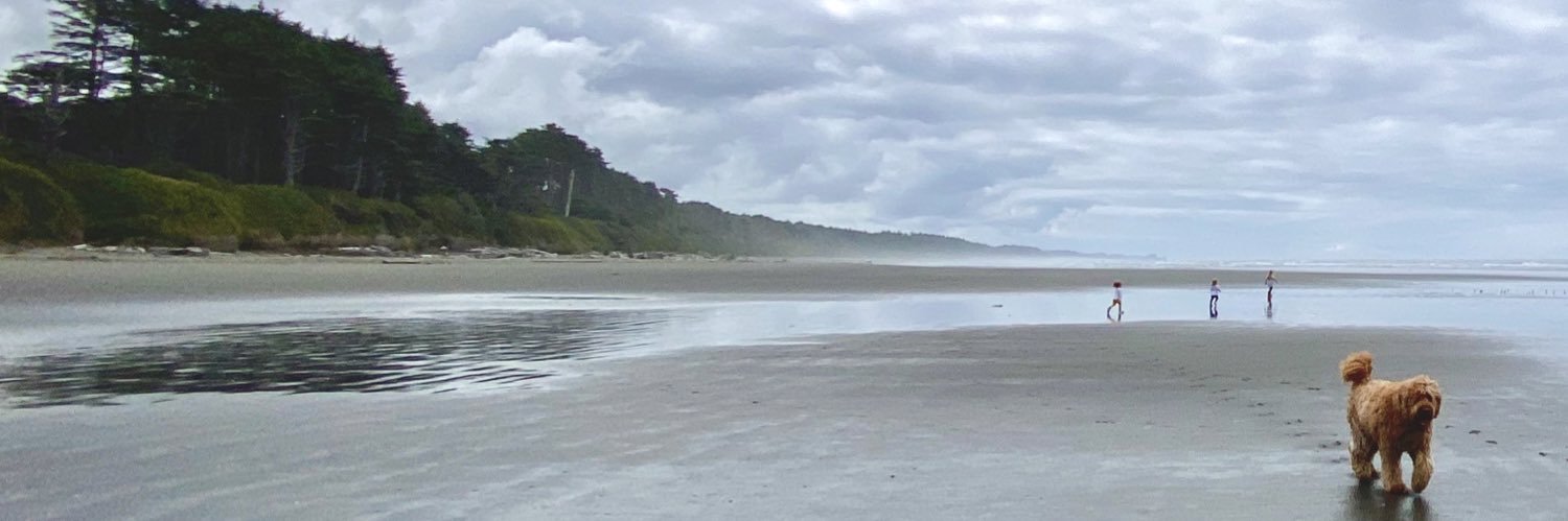 johnpaulmclean's profile banner image
