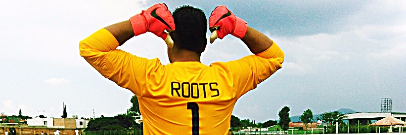 chavaroots's profile banner image