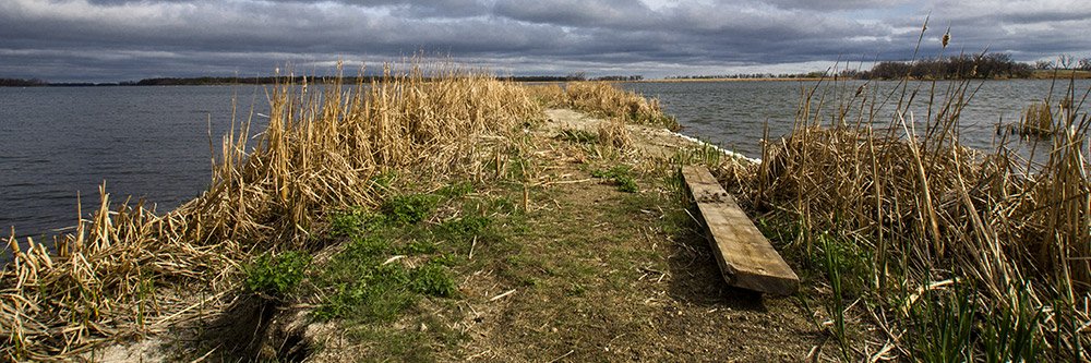 Scott Johnson banner