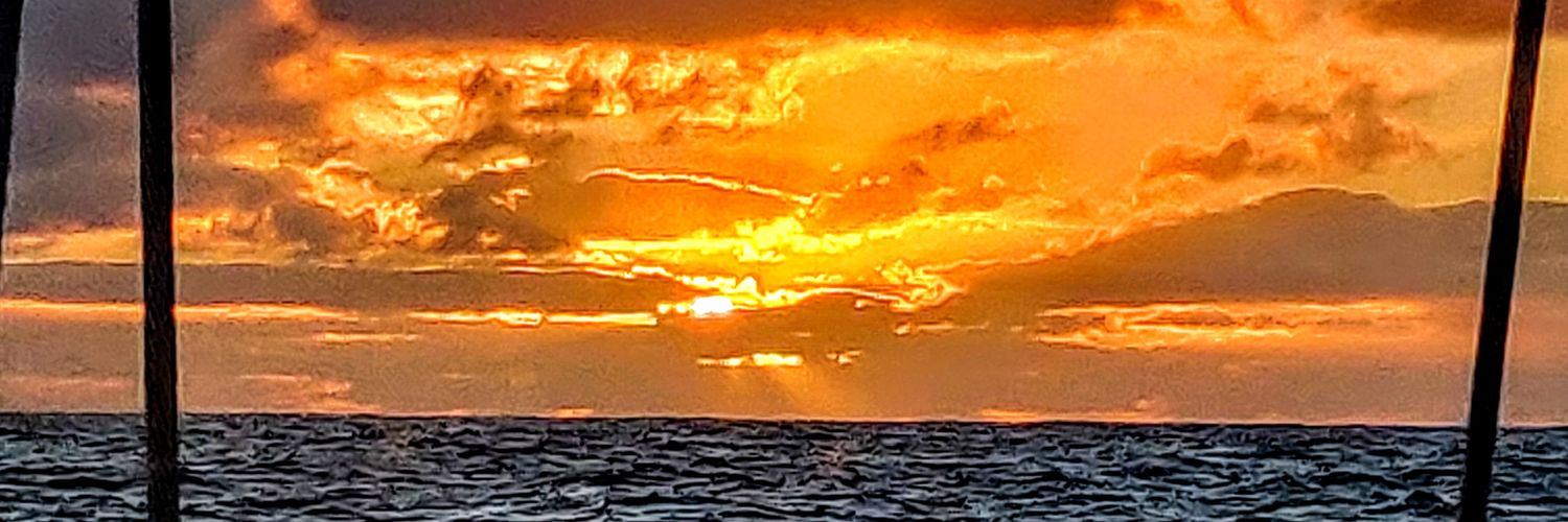 willclower's profile banner image