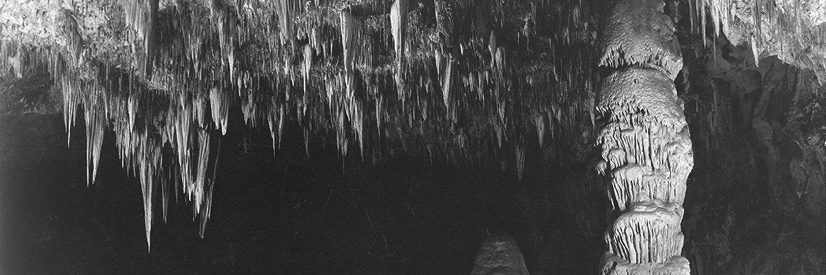 ArchaicAvidity's profile banner image