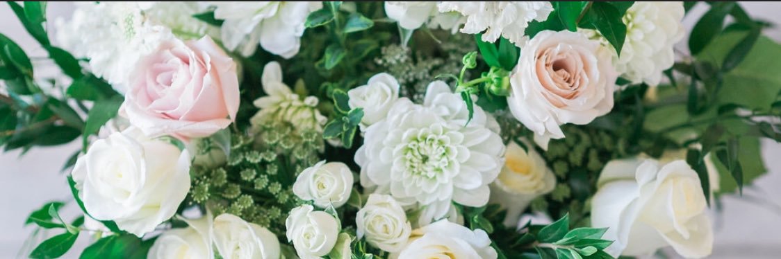 meganseppi's profile banner image