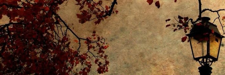 ssugarpare's profile banner image