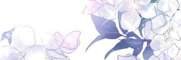 dailydamselette's profile banner image