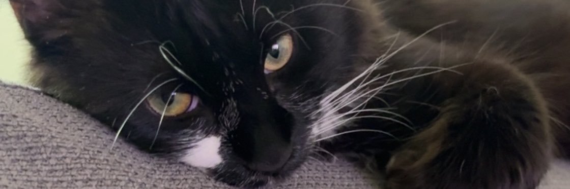 iimy6_'s profile banner image