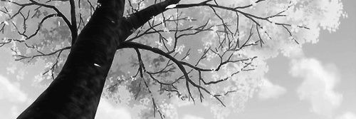 𝘚𝘶𝘯 banner