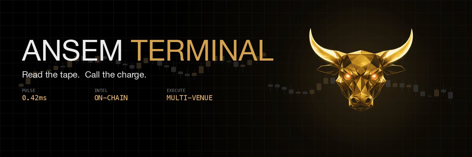 AnsemTerminal's profile banner image