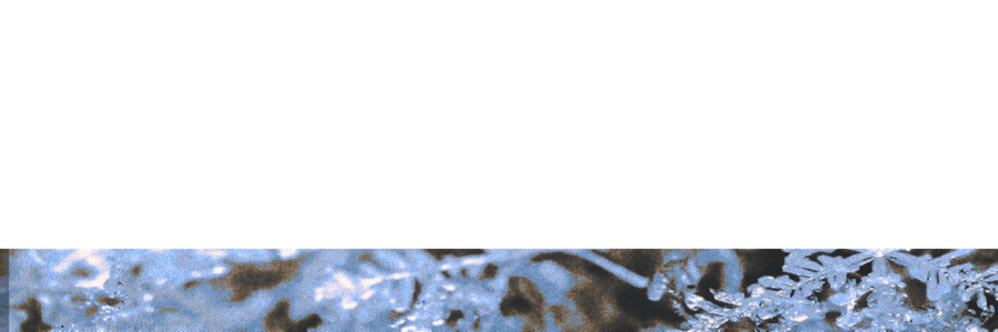 PUREASSN0W's profile banner image
