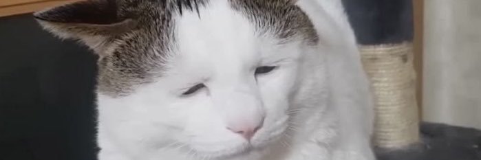eez_200_'s profile banner image