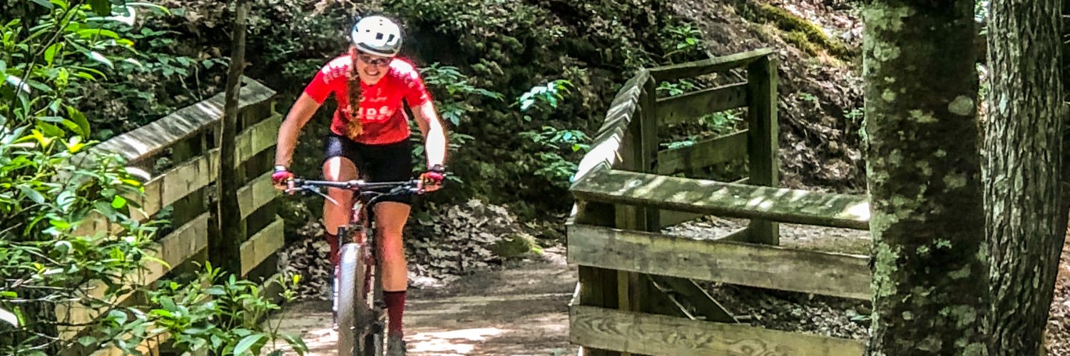 Abigail Snyder banner