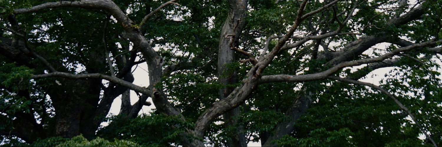 00onu's profile banner image