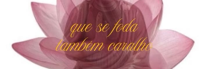 vivi banner