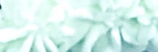 wtllo0's profile banner image