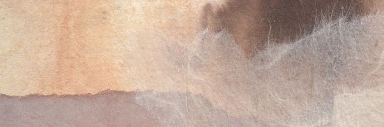 e5n0328n's profile banner image