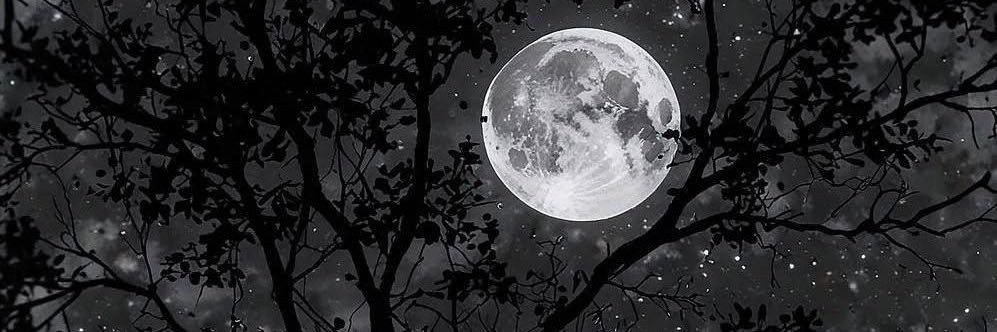 novakhj's profile banner image