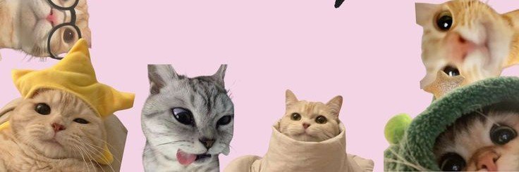 niknowss's profile banner image
