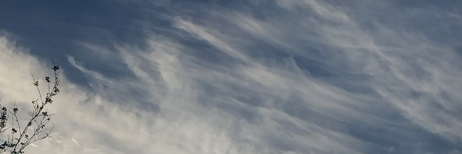 scaryn_'s profile banner image