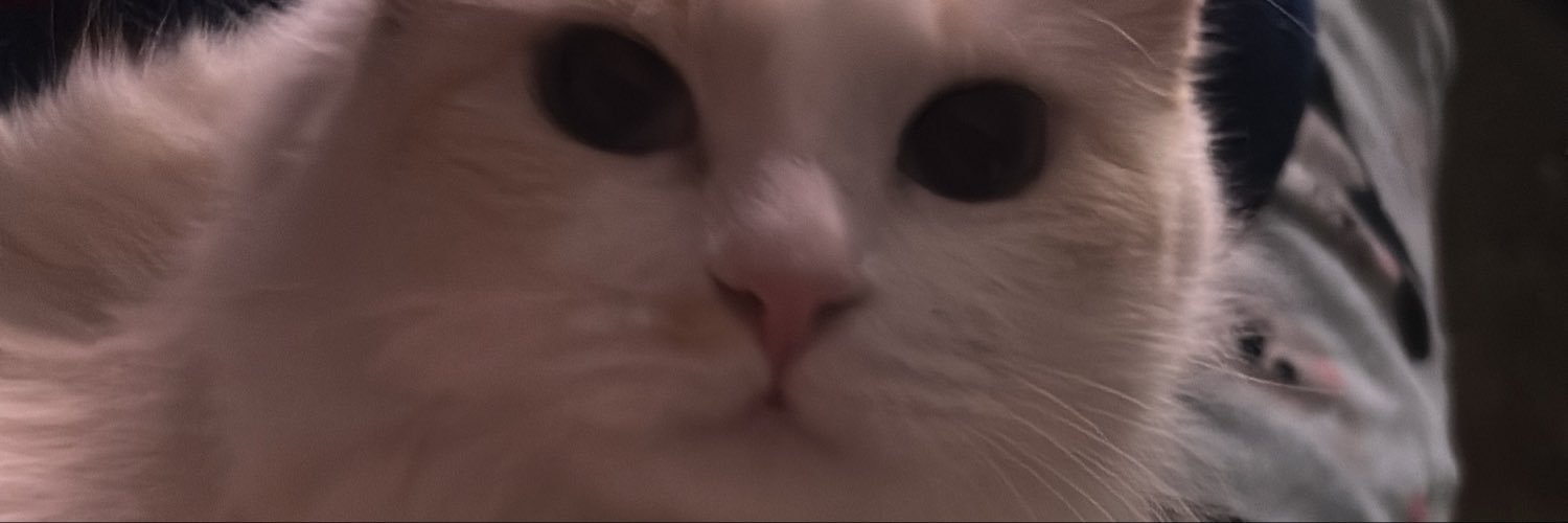 Monzerrat2703's profile banner image
