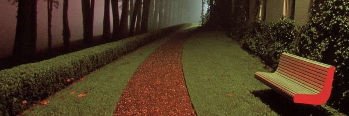 belle banner