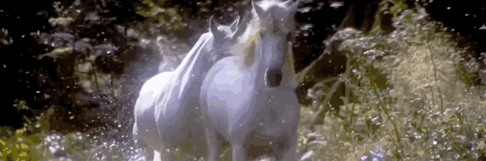 loolouisee's profile banner image