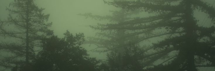 _natsukishubby's profile banner image