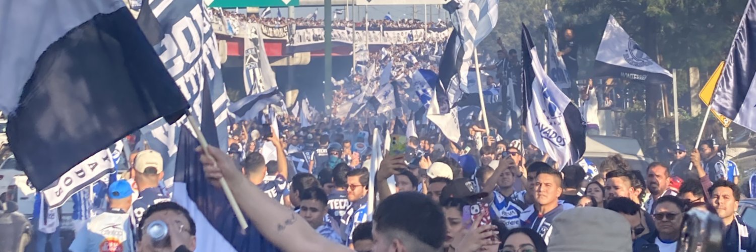 v1metz's profile banner image