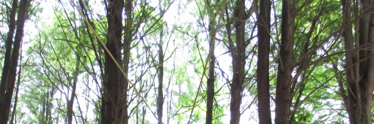 kgbk9999's profile banner image