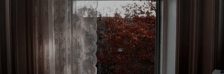 STLMYGlRL's profile banner image