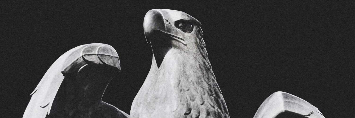 The_Vriller's profile banner image